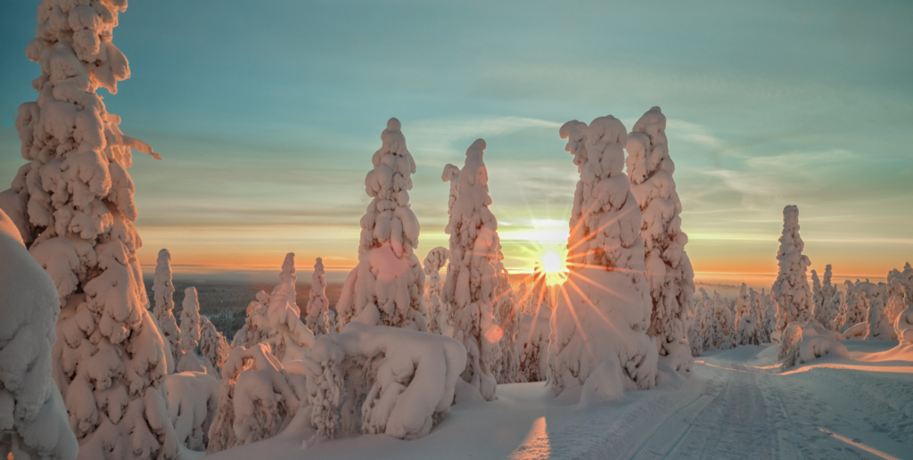 6 Reasons to Visit Sweden in Winter, Travel Blog